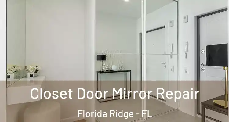 Closet Door Mirror Repair Florida Ridge - FL
