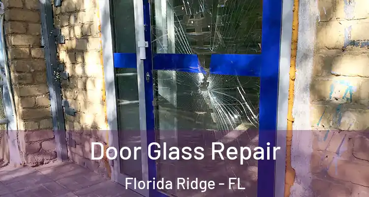 Door Glass Repair Florida Ridge - FL
