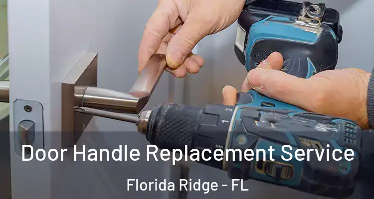 Door Handle Replacement Service Florida Ridge - FL