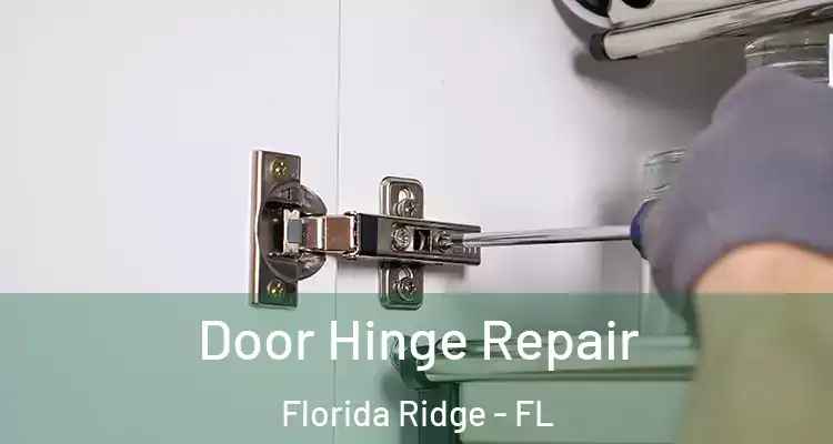 Door Hinge Repair Florida Ridge - FL