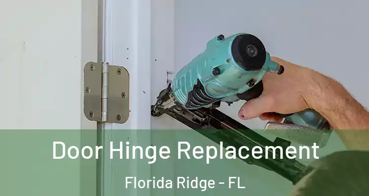 Door Hinge Replacement Florida Ridge - FL