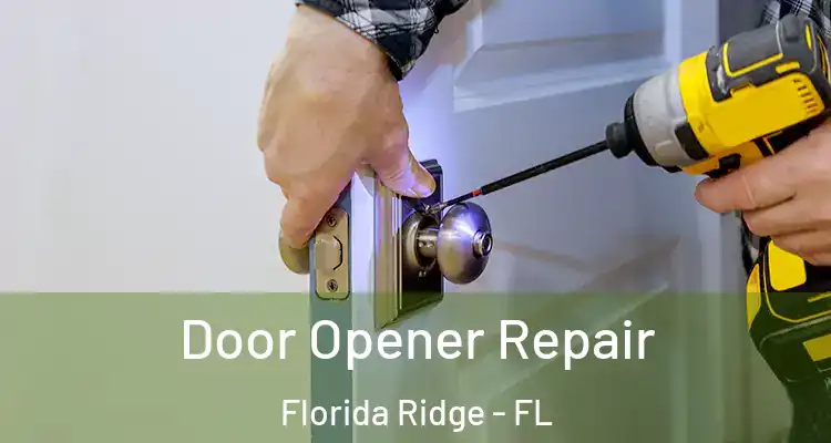 Door Opener Repair Florida Ridge - FL