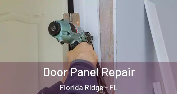 Door Panel Repair Florida Ridge - FL