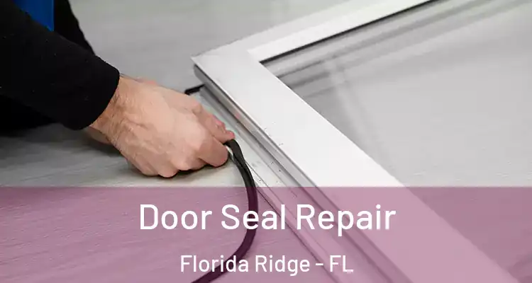 Door Seal Repair Florida Ridge - FL