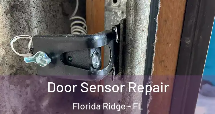 Door Sensor Repair Florida Ridge - FL
