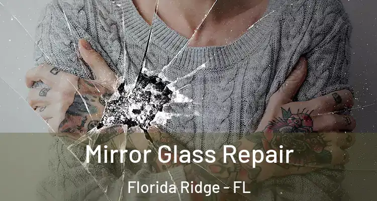 Mirror Glass Repair Florida Ridge - FL