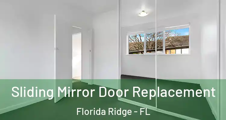 Sliding Mirror Door Replacement Florida Ridge - FL