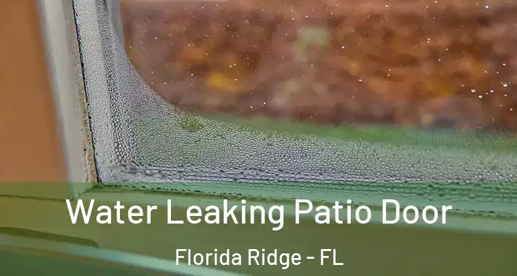Water Leaking Patio Door Florida Ridge - FL
